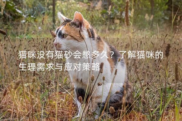 猫咪没有猫砂会憋多久？了解猫咪的生理需求与应对策略