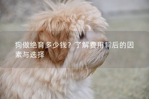 狗做绝育多少钱？了解费用背后的因素与选择