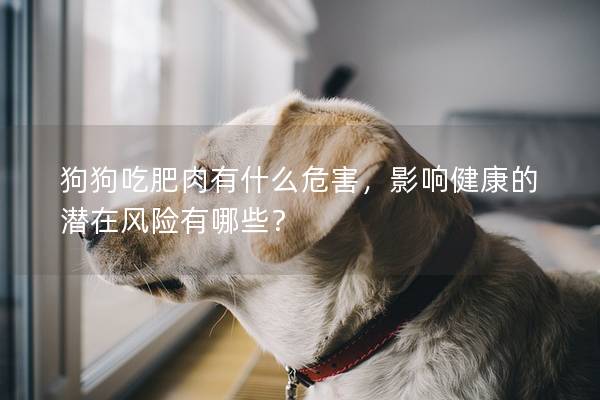 狗狗吃肥肉有什么危害，影响健康的潜在风险有哪些？