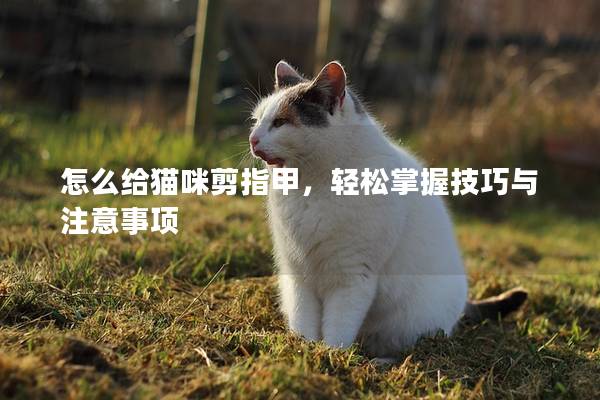 怎么给猫咪剪指甲，轻松掌握技巧与注意事项