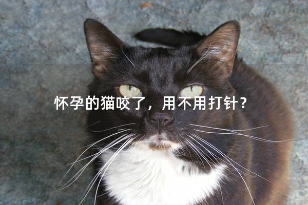 怀孕的猫咬了，用不用打针？