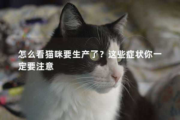 怎么看猫咪要生产了？这些症状你一定要注意