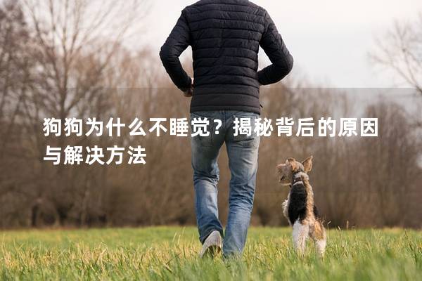 狗狗为什么不睡觉？揭秘背后的原因与解决方法