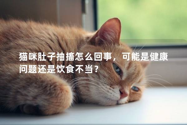 猫咪肚子抽搐怎么回事，可能是健康问题还是饮食不当？