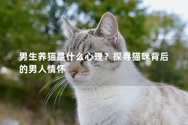 男生养猫是什么心理？探寻猫咪背后的男人情怀