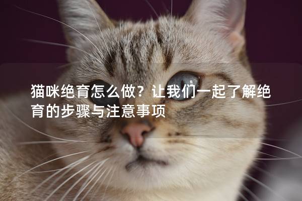 猫咪绝育怎么做？让我们一起了解绝育的步骤与注意事项