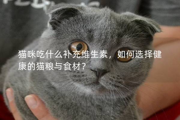 猫咪吃什么补充维生素，如何选择健康的猫粮与食材？