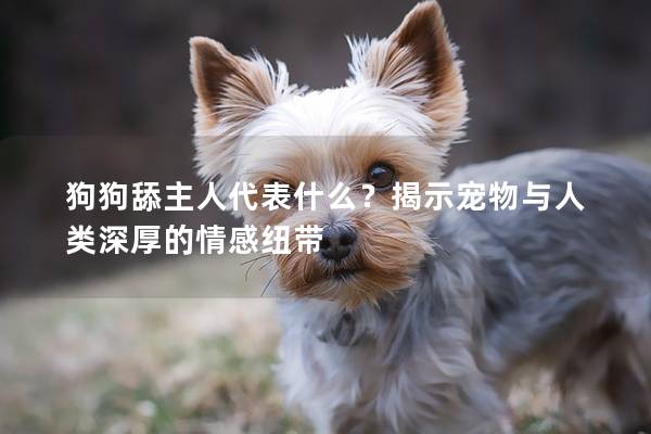 狗狗舔主人代表什么？揭示宠物与人类深厚的情感纽带