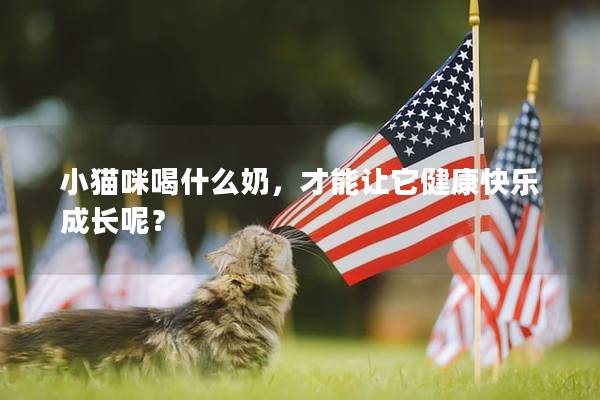 小猫咪喝什么奶，才能让它健康快乐成长呢？