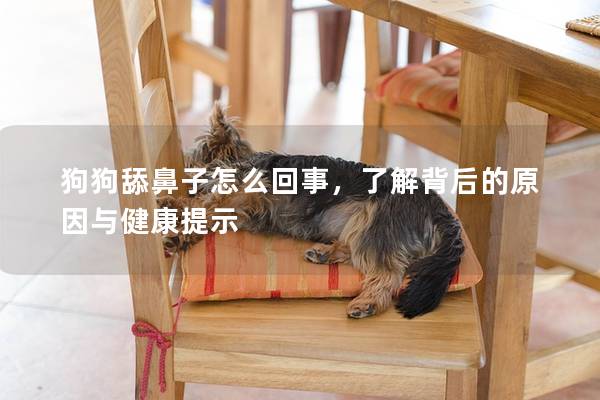 狗狗舔鼻子怎么回事,了解背后的原因与健康提示