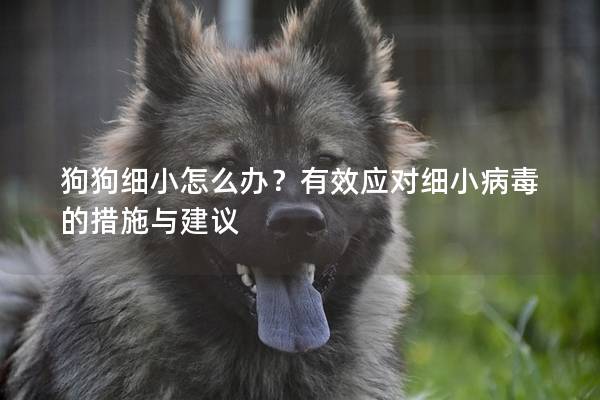 狗狗细小怎么办？有效应对细小病毒的措施与建议