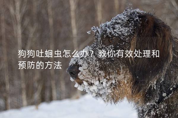 狗狗吐蛔虫怎么办?教你有效处理和预防的方法