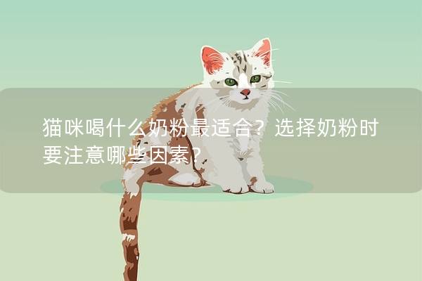 猫咪喝什么奶粉最适合？选择奶粉时要注意哪些因素？