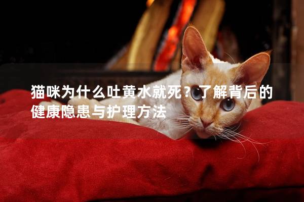 猫咪为什么吐黄水就死？了解背后的健康隐患与护理方法