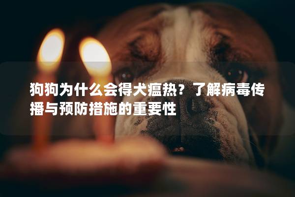 狗狗为什么会得犬瘟热？了解病毒传播与预防措施的重要性