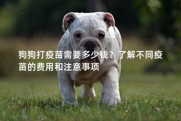 狗狗打疫苗需要多少钱？了解不同疫苗的费用和注意事项