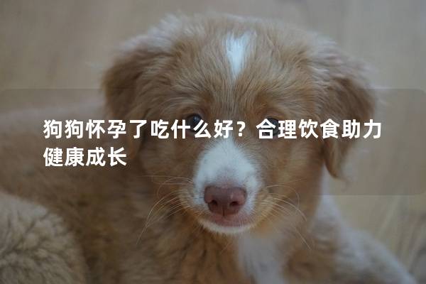 狗狗怀孕了吃什么好？合理饮食助力健康成长