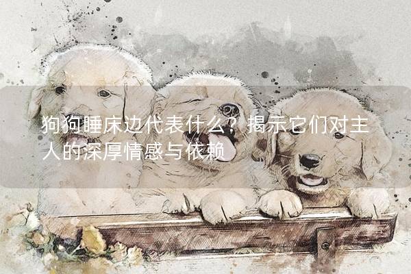 狗狗睡床边代表什么?揭示它们对主人的深厚情感与依赖