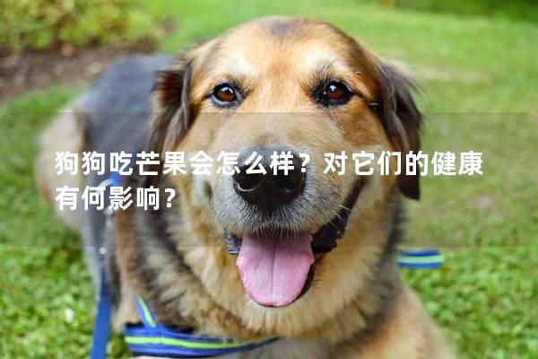 狗狗吃芒果会怎么样？对它们的健康有何影响？