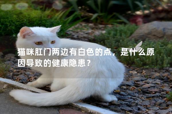 猫咪肛门两边有白色的点，是什么原因导致的健康隐患？