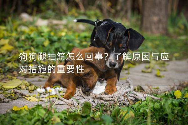 狗狗腿抽筋怎么回事？了解原因与应对措施的重要性