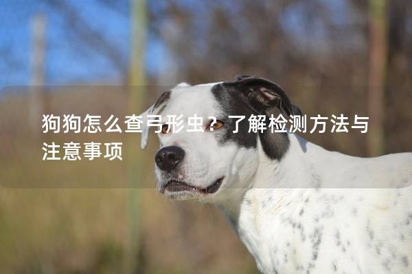 狗狗怎么查弓形虫？了解检测方法与注意事项