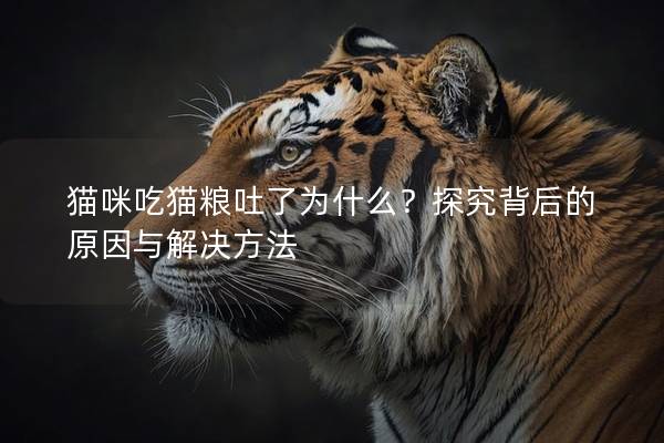 猫咪吃猫粮吐了为什么？探究背后的原因与解决方法