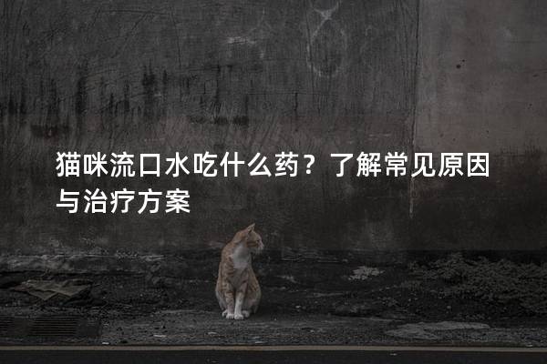 猫咪流口水吃什么药？了解常见原因与治疗方案