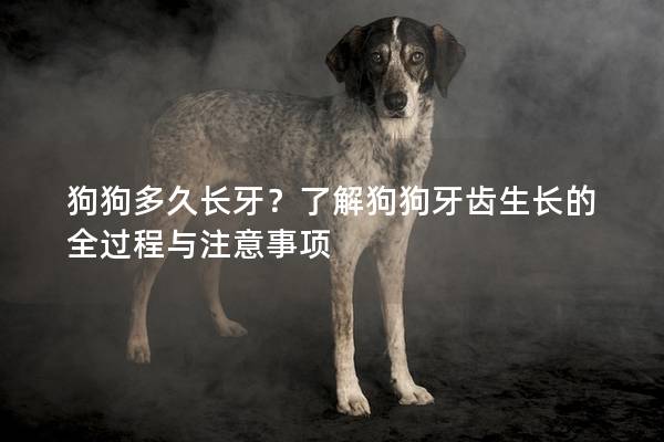 狗狗多久长牙？了解狗狗牙齿生长的全过程与注意事项