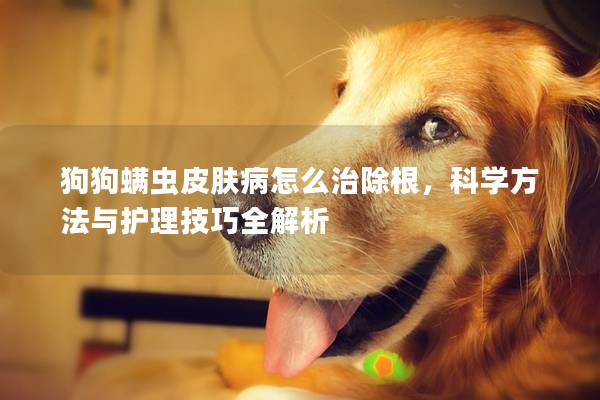 狗狗螨虫皮肤病怎么治除根，科学方法与护理技巧全解析