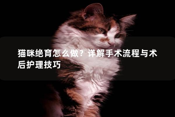 猫咪绝育怎么做？详解手术流程与术后护理技巧