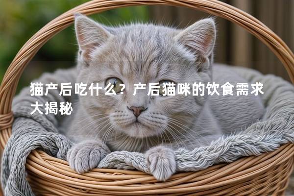 猫产后吃什么？产后猫咪的饮食需求大揭秘