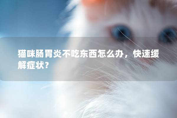 猫咪肠胃炎不吃东西怎么办，快速缓解症状？