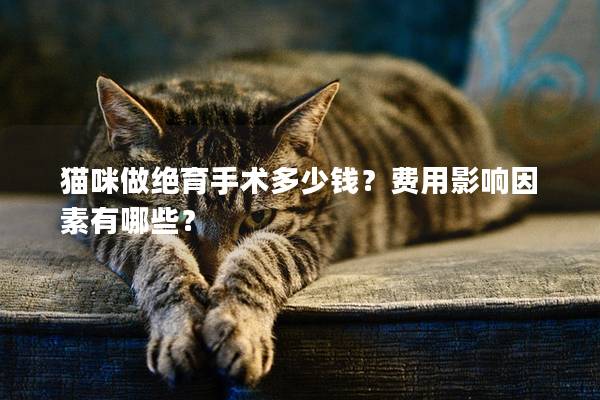 猫咪做绝育手术多少钱？费用影响因素有哪些？