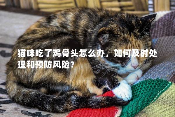 猫咪吃了鸡骨头怎么办，如何及时处理和预防风险？