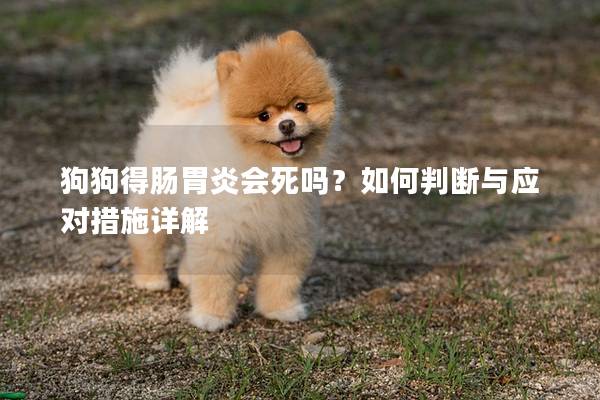 狗狗得肠胃炎会死吗？如何判断与应对措施详解