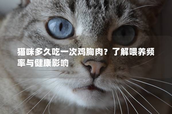 猫咪多久吃一次鸡胸肉？了解喂养频率与健康影响