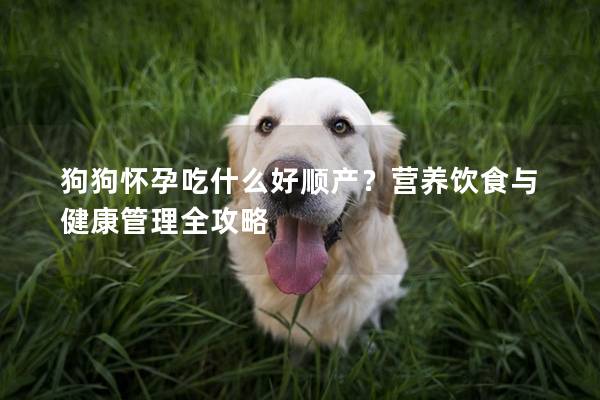 狗狗怀孕吃什么好顺产？营养饮食与健康管理全攻略