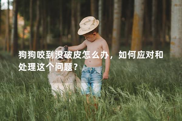 狗狗咬到没破皮怎么办，如何应对和处理这个问题？