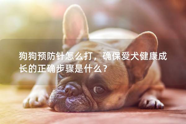 狗狗预防针怎么打，确保爱犬健康成长的正确步骤是什么？