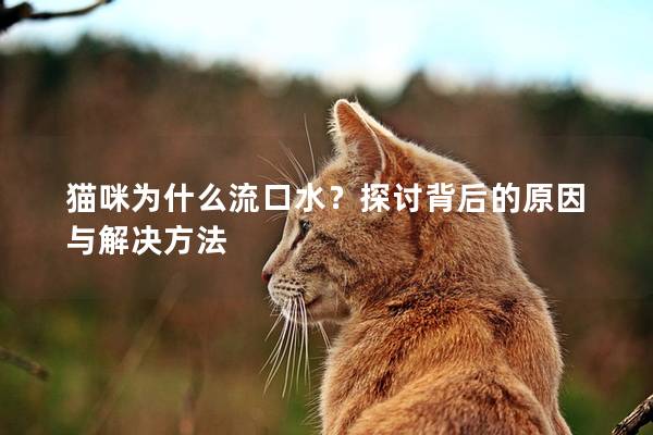 猫咪为什么流口水？探讨背后的原因与解决方法