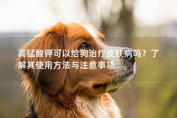 高锰酸钾可以给狗治疗皮肤病吗？了解其使用方法与注意事项