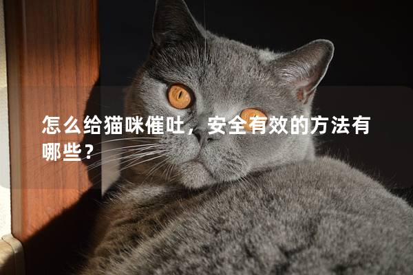 怎么给猫咪催吐，安全有效的方法有哪些？