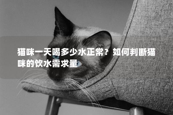 猫咪一天喝多少水正常？如何判断猫咪的饮水需求量