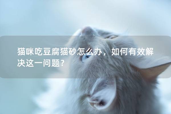 猫咪吃豆腐猫砂怎么办，如何有效解决这一问题？