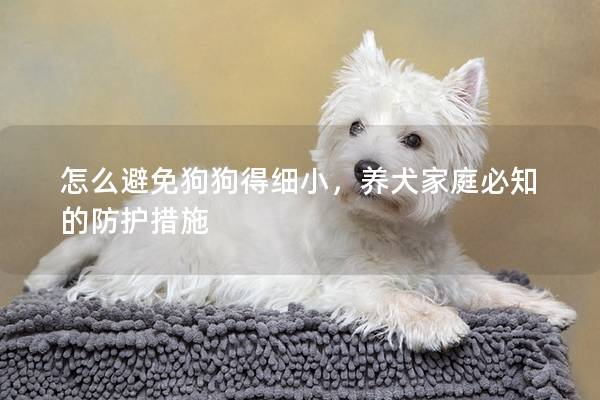 怎么避免狗狗得细小，养犬家庭必知的防护措施