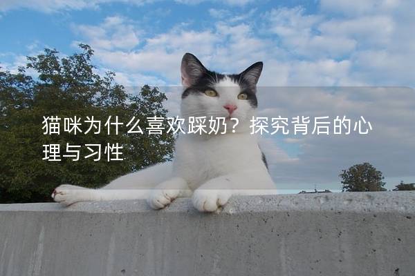 猫咪为什么喜欢踩奶？探究背后的心理与习性