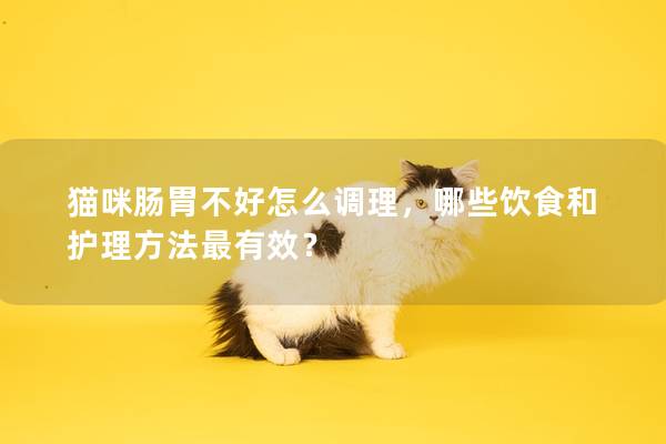 猫咪肠胃不好怎么调理，哪些饮食和护理方法最有效？