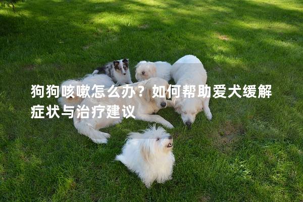 狗狗咳嗽怎么办？如何帮助爱犬缓解症状与治疗建议