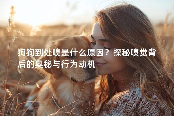 狗狗到处嗅是什么原因？探秘嗅觉背后的奥秘与行为动机